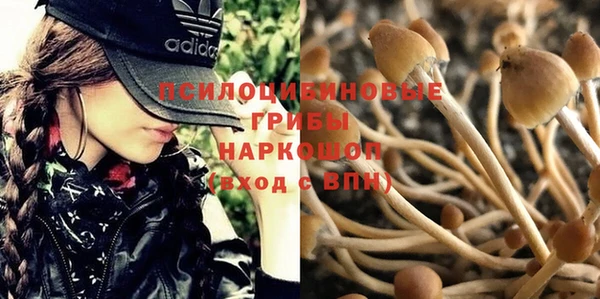 каннабис Осинники