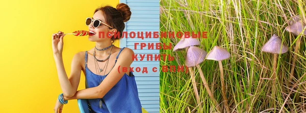 ешки Остров